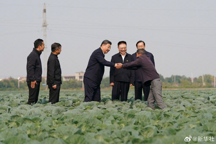 习近平在湖北考察调研