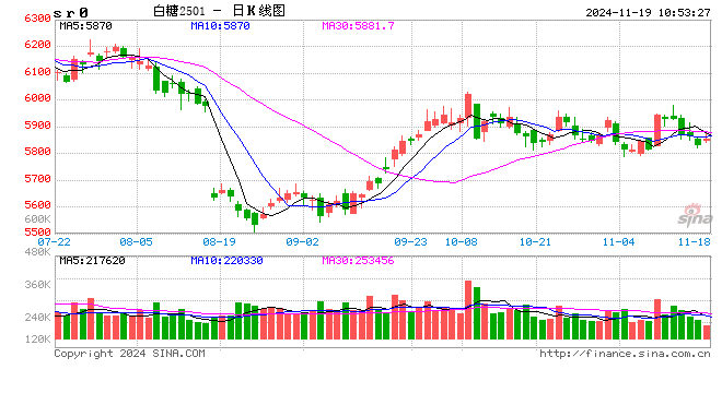 光大期货：11月19日软商品日报