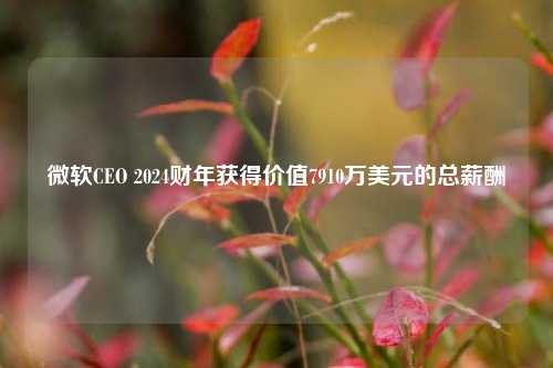 微软CEO 2024财年获得价值7910万美元的总薪酬