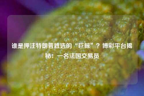 谁是押注特朗普胜选的“巨鲸”？博彩平台揭秘：一名法国交易员