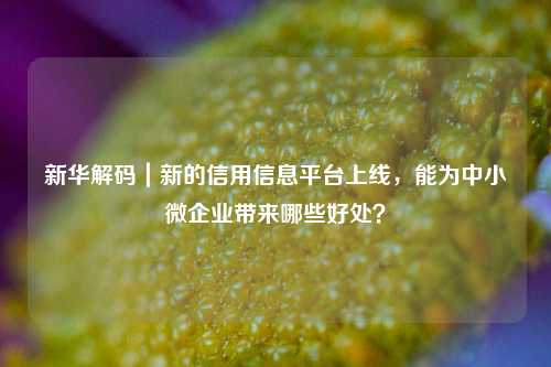 新华解码｜新的信用信息平台上线，能为中小微企业带来哪些好处？