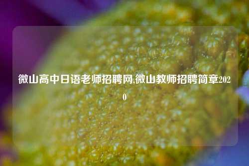 微山高中日语老师招聘网,微山教师招聘简章2020