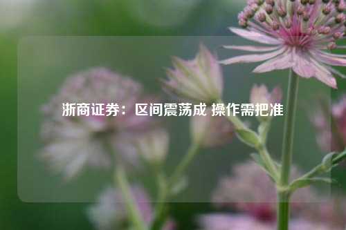 浙商证券：区间震荡成 操作需把准