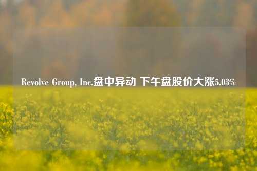 Revolve Group, Inc.盘中异动 下午盘股价大涨5.03%