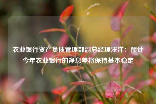 农业银行资产负债管理部副总经理汪洋：预计今年农业银行的净息差将保持基本稳定