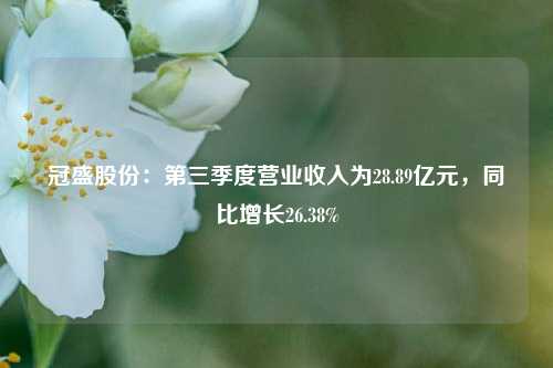 冠盛股份：第三季度营业收入为28.89亿元，同比增长26.38%