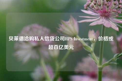 贝莱德洽购私人信贷公司HPS Investment，价格或超百亿美元