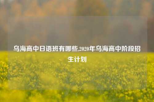 乌海高中日语班有哪些,2020年乌海高中阶段招生计划