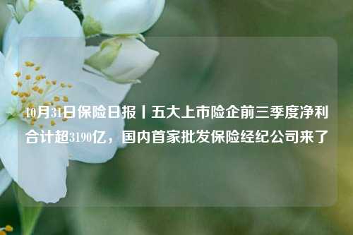 10月31日保险日报丨五大上市险企前三季度净利合计超3190亿，国内首家批发保险经纪公司来了