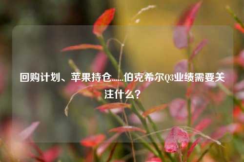 回购计划、苹果持仓......伯克希尔Q3业绩需要关注什么？