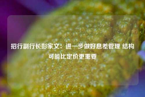 招行副行长彭家文：进一步做好息差管理 结构可能比定价更重要