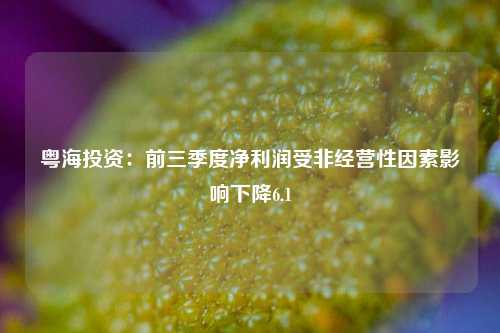 粤海投资：前三季度净利润受非经营性因素影响下降6.1