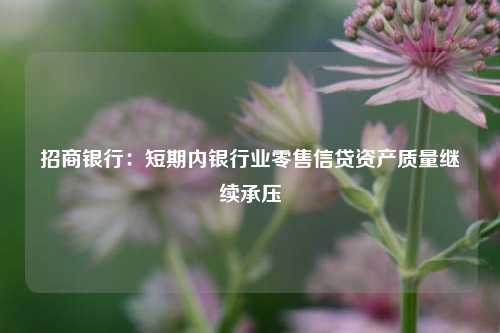 招商银行：短期内银行业零售信贷资产质量继续承压