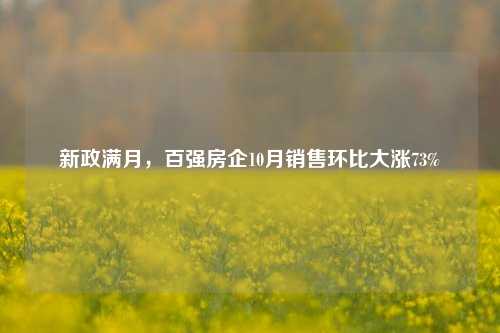 新政满月，百强房企10月销售环比大涨73%