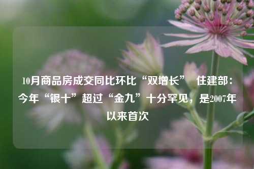 10月商品房成交同比环比“双增长”  住建部：今年“银十”超过“金九”十分罕见，是2007年以来首次