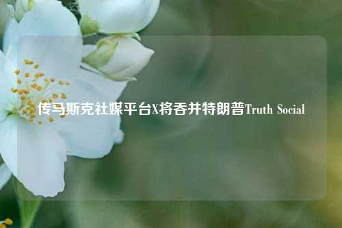 传马斯克社媒平台X将吞并特朗普Truth Social