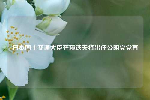 日本国土交通大臣齐藤铁夫将出任公明党党首