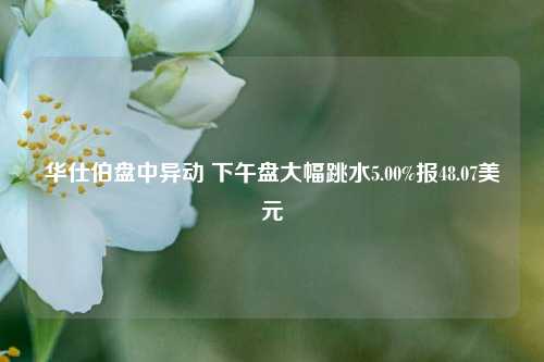 华仕伯盘中异动 下午盘大幅跳水5.00%报48.07美元