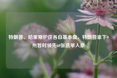 特朗普、哈里斯护住各自基本盘，特朗普拿下9州暂时领先60张选举人票