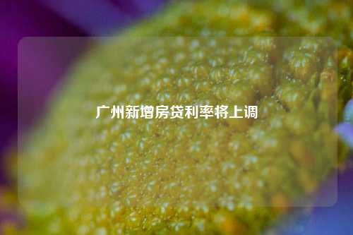 广州新增房贷利率将上调