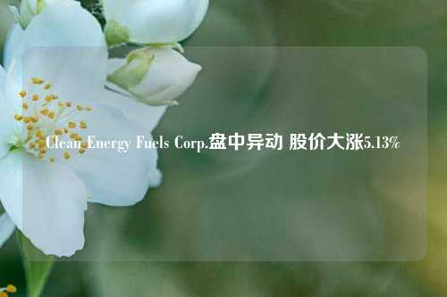 Clean Energy Fuels Corp.盘中异动 股价大涨5.13%