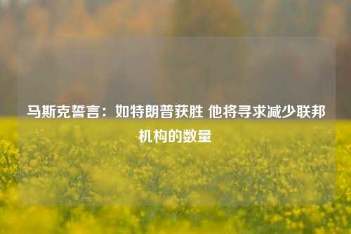 马斯克誓言：如特朗普获胜 他将寻求减少联邦机构的数量