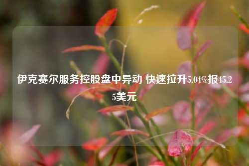 伊克赛尔服务控股盘中异动 快速拉升5.04%报45.25美元