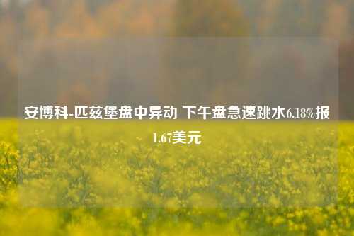 安博科-匹兹堡盘中异动 下午盘急速跳水6.18%报1.67美元