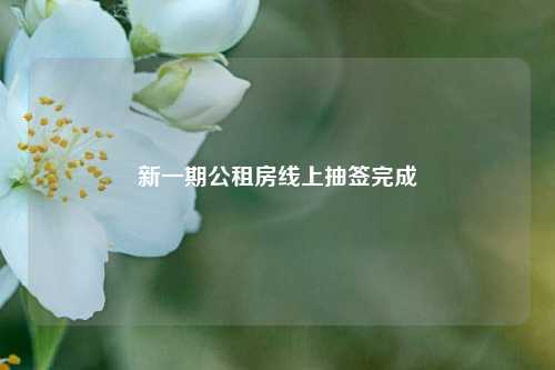 新一期公租房线上抽签完成