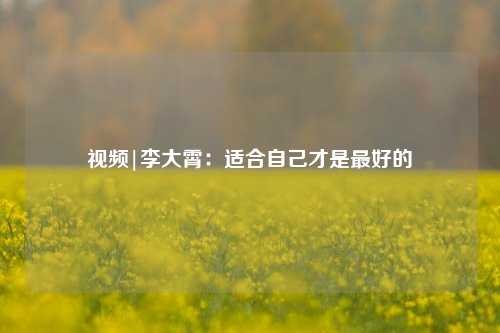 视频|李大霄：适合自己才是最好的