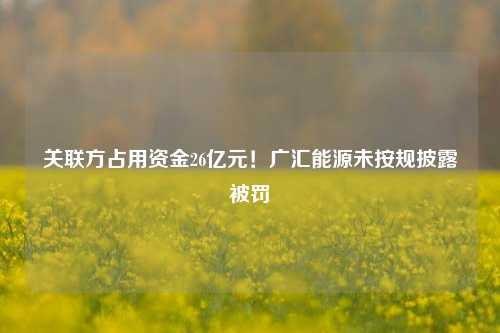 关联方占用资金26亿元！广汇能源未按规披露被罚