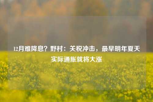 12月难降息？野村：关税冲击，最早明年夏天实际通胀就将大涨