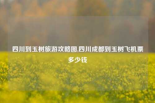 四川到玉树旅游攻略图,四川成都到玉树飞机票多少钱