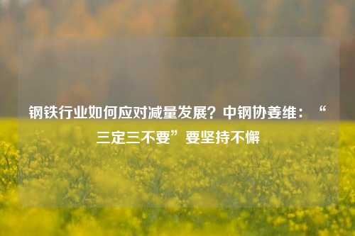 钢铁行业如何应对减量发展？中钢协姜维：“三定三不要”要坚持不懈