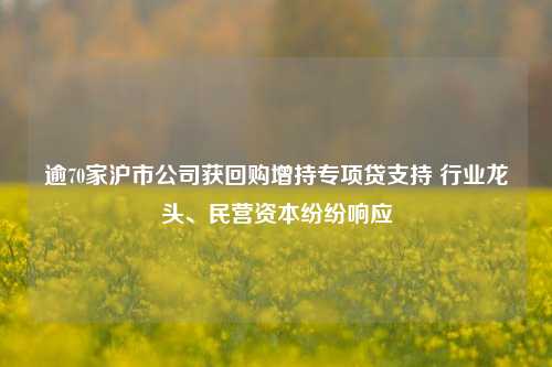 逾70家沪市公司获回购增持专项贷支持 行业龙头、民营资本纷纷响应