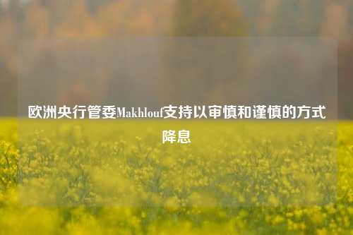 欧洲央行管委Makhlouf支持以审慎和谨慎的方式降息