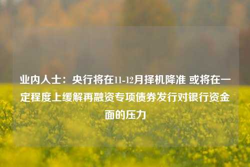 业内人士：央行将在11-12月择机降准 或将在一定程度上缓解再融资专项债券发行对银行资金面的压力