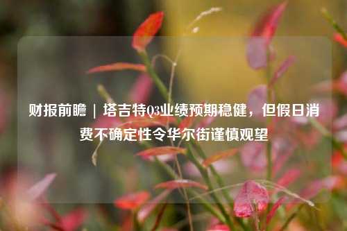 财报前瞻 | 塔吉特Q3业绩预期稳健，但假日消费不确定性令华尔街谨慎观望