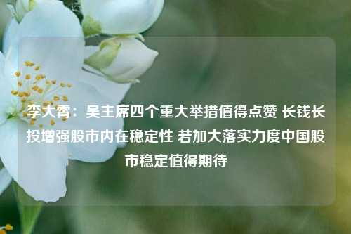 李大霄：吴主席四个重大举措值得点赞 长钱长投增强股市内在稳定性 若加大落实力度中国股市稳定值得期待