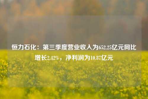 恒力石化：第三季度营业收入为652.25亿元同比增长2.42%，净利润为10.87亿元