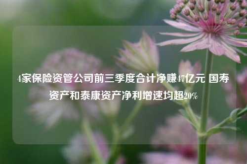 4家保险资管公司前三季度合计净赚47亿元 国寿资产和泰康资产净利增速均超20%