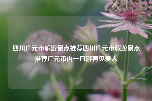 四川广元市旅游景点推荐四川广元市旅游景点推荐广元市内一日游再见爱人