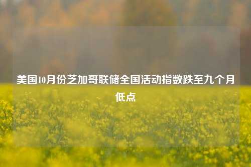 美国10月份芝加哥联储全国活动指数跌至九个月低点