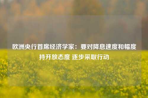 欧洲央行首席经济学家：要对降息速度和幅度持开放态度 逐步采取行动