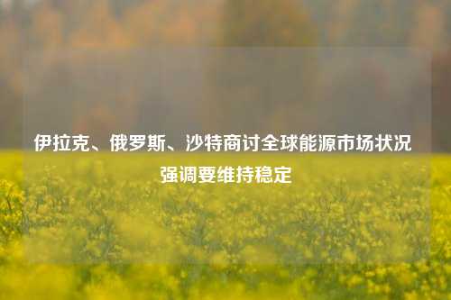 伊拉克、俄罗斯、沙特商讨全球能源市场状况 强调要维持稳定