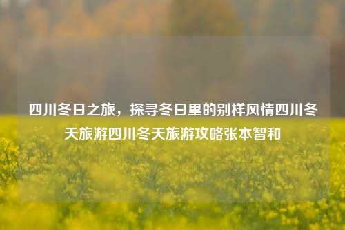 四川冬日之旅，探寻冬日里的别样风情四川冬天旅游四川冬天旅游攻略张本智和