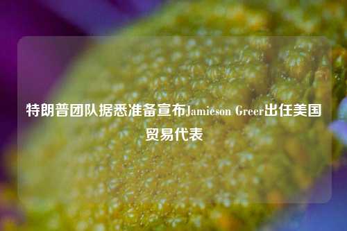 特朗普团队据悉准备宣布Jamieson Greer出任美国贸易代表