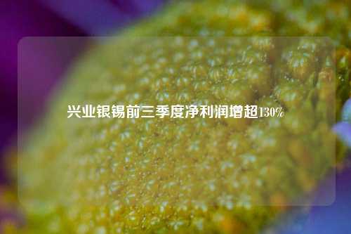 兴业银锡前三季度净利润增超130%