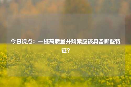 今日视点：一桩高质量并购案应该具备哪些特征？