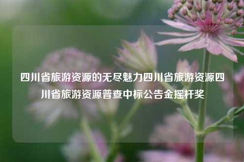 四川省旅游资源的无尽魅力四川省旅游资源四川省旅游资源普查中标公告金摇杆奖